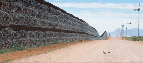 Grand Prix un titulu &quot;Gada fotogrāfs&quot; izcīnījis Alejandro Prieto no Meksikas. Viņa uzņēmums, kas tapis pie amerikāņu pierobežas sienas Arizonā piesaista uzmanību un nelaiž vaļā. Tas ir vesels stāsts vienā kadrā - Sputnik Latvija