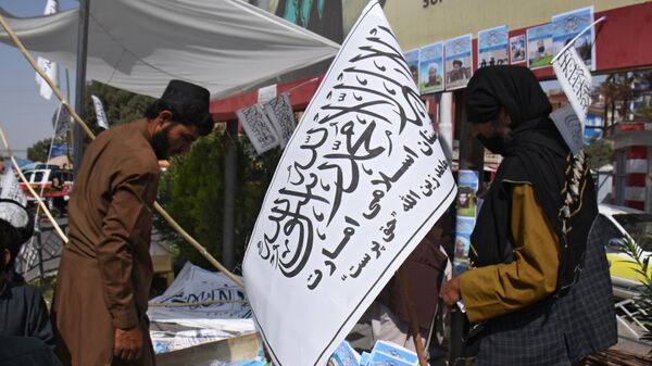 Идеи халифата начинают победное шествие: будет ли в Афганистане гражданская война? - Sputnik Latvija