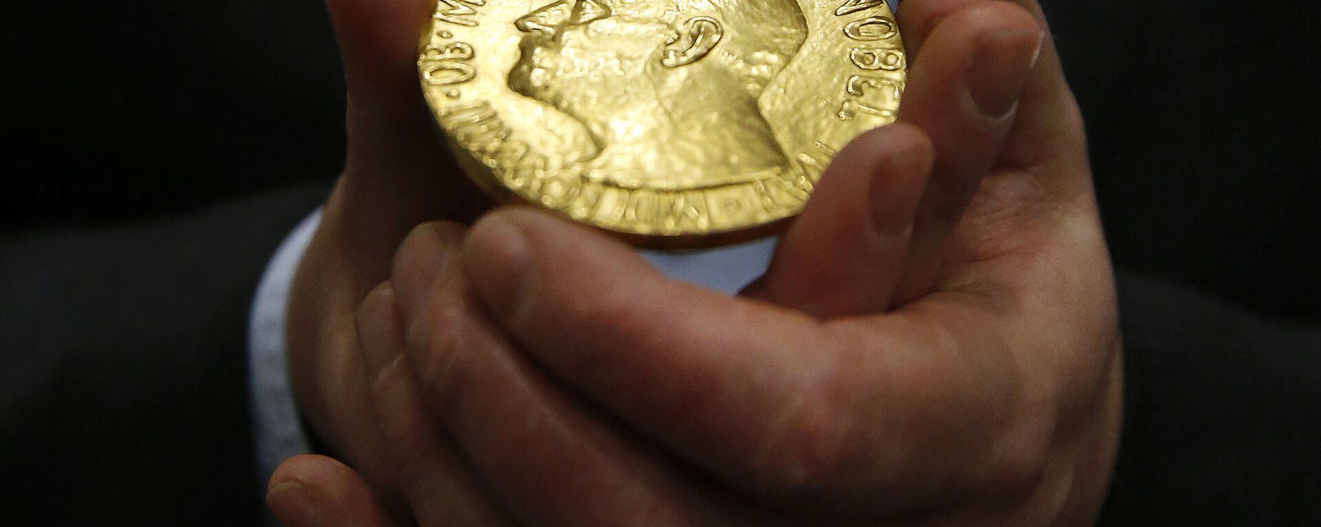 Медаль Нобелевской премии мира в Балтиморе - Sputnik Латвия, 1920, 10.10.2021