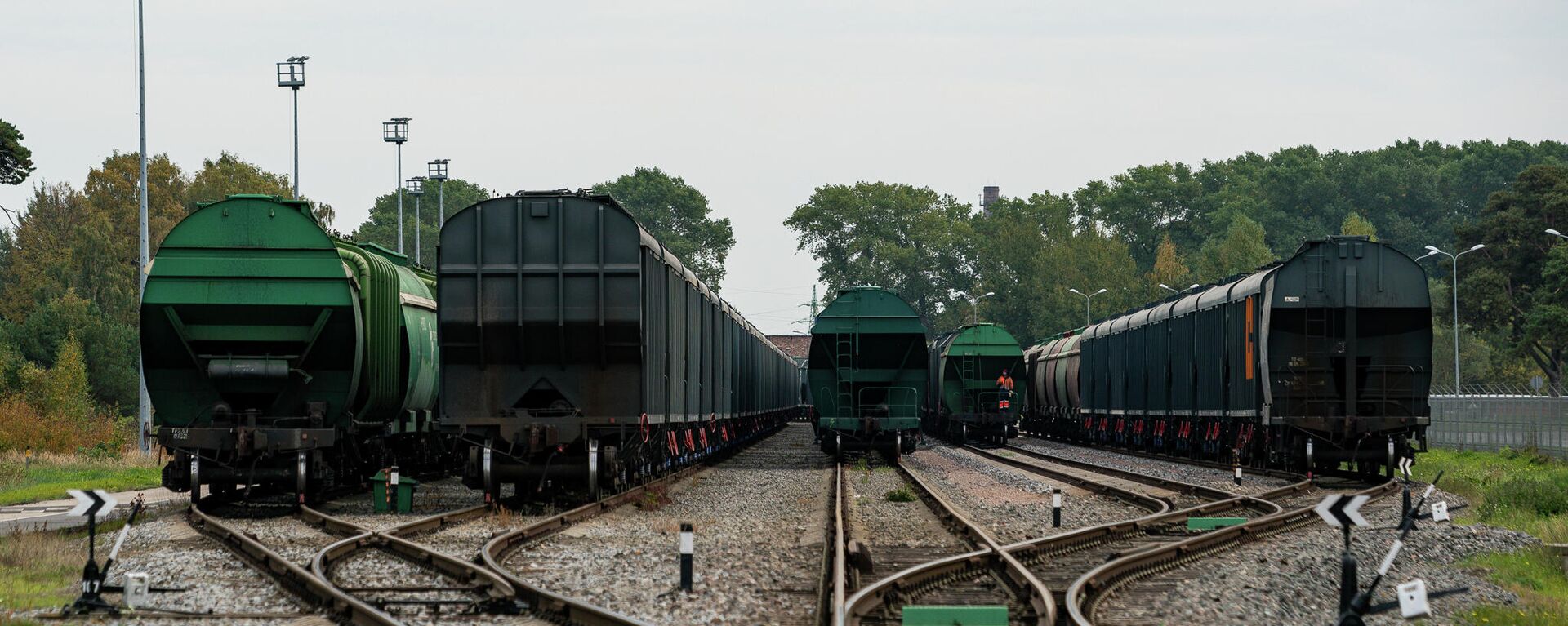 Железнодорожные вагоны с зерном на путях в Лиепае - Sputnik Латвия, 1920, 09.08.2022