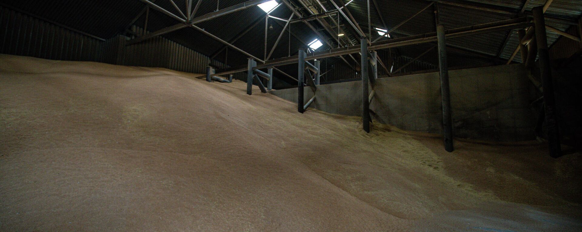 Склад для хранения зерна - Sputnik Латвия, 1920, 23.07.2023