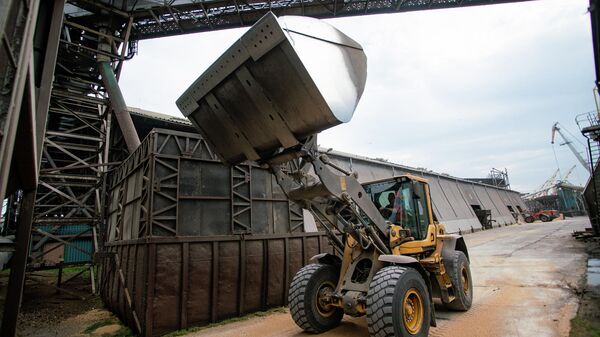 Погрузчик перегружает зерно в порту Лиепаи - Sputnik Latvija