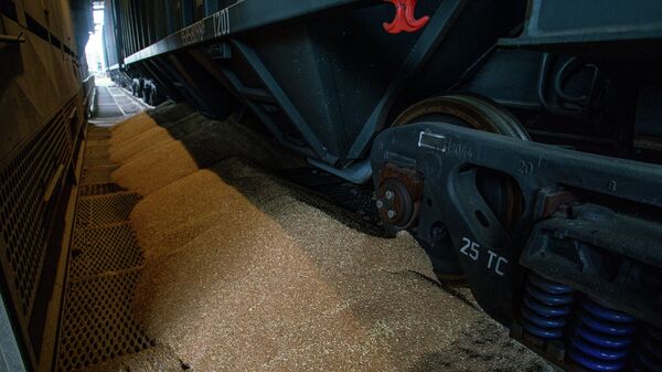 Российское зерно выгружается из вагонов на терминале в порту Лиепаи - Sputnik Latvija