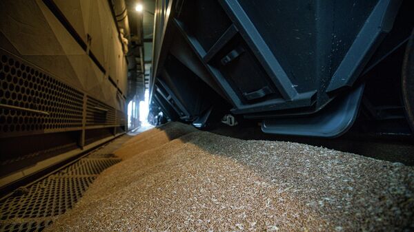 Российское зерно выгружается из вагонов на терминале в порту Лиепаи - Sputnik Латвия