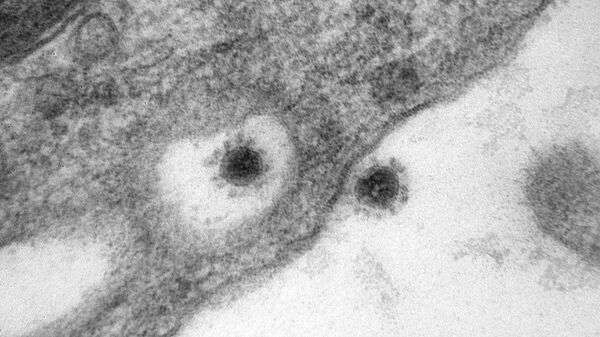 Фото дельта-штамма (индийского варианта) коронавируса, опубликованное научным центром Вектор - Sputnik Латвия