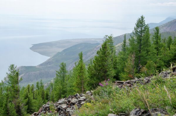 Baikāla rietumu krastā ir Ritijs rags. Te nedzīvo cilvēki, šurp neved autoceļi (pat ne kājāmgājēju takas), kuteri brauc garām. Kompass un navigators "jūk prātā", tūristiem gadās halucinācijas, tehnika lūzt. Vietējie uzskata, ka rags ir nolādēts Baikāla rietumu krastā ir Ritijs rags. Te nedzīvo cilvēki, šurp neved autoceļi (pat ne kājāmgājēju takas), kuteri brauc garām. Kompass un navigators "jūk prātā", tūristiem gadās halucinācijas, tehnika lūzt. Vietējie uzskata, ka rags ir nolādēts - Sputnik Latvija