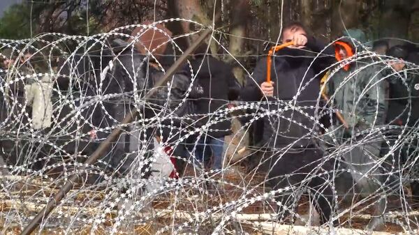 Польские силовики применили слезоточивый газ против мигрантов на границе - Sputnik Latvija