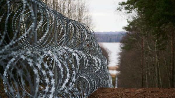 Забор из колючей проволоки на латвийско-белорусской границе  - Sputnik Латвия