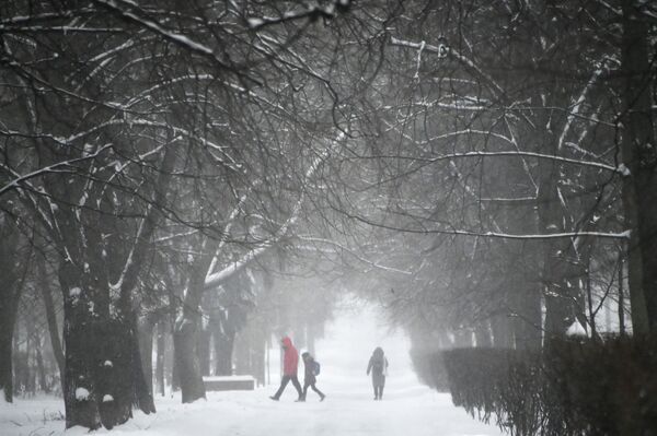 Во время снегопада в Москве - Sputnik Латвия