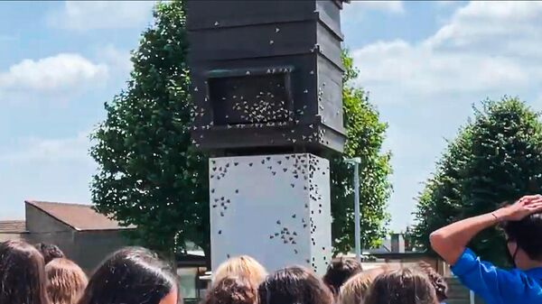 Памятник латышским легионерам Waffen SS в бельгийском городе Зедельгем - Sputnik Латвия