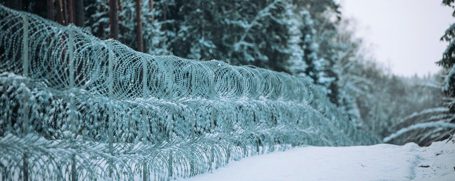 Забор из колючей проволоки на латвийско-белорусской границе  - Sputnik Латвия, 1920, 24.12.2021