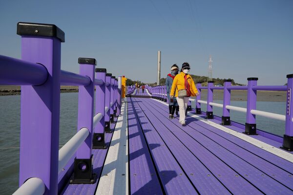 Туристы идут по пурпурному мосту в провинции Южная Чолла в Южной Корее - Sputnik Латвия