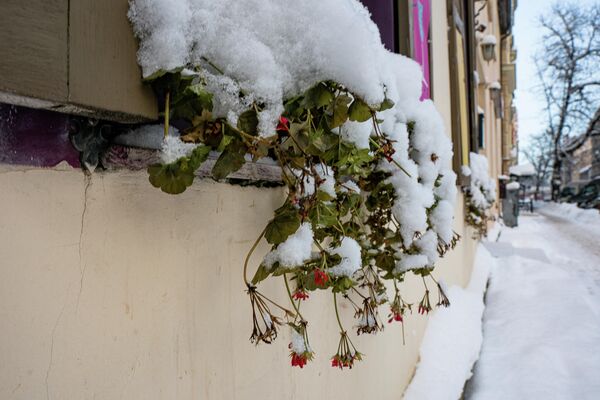 На улице Риги во время снегопада. - Sputnik Латвия