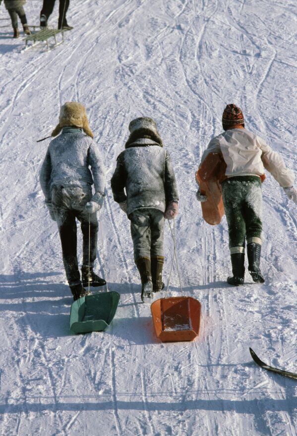 Таллин, 1983 год. Дети катаются на санках. - Sputnik Латвия