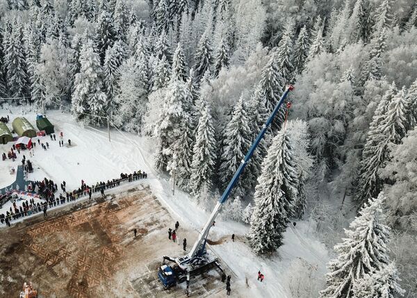 Speciālisti izvēlas Krievijas galveno Ziemassvētku eglīti. Kremļa eglītes augstums šogad ir 25 metri, stobra diametrs 60 centimetri, apakšējo zaru diametrs ap 20 metriem, tās vecums ir 96 gadi. Speciālisti izvēlas Krievijas galveno Ziemassvētku eglīti. Kremļa eglītes augstums šogad ir 25 metri, stobra diametrs 60 centimetri, apakšējo zaru diametrs ap 20 metriem, tās vecums ir 96 gadi. - Sputnik Latvija