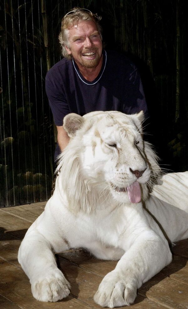 Britu magnāts Ričards Brensons kopā ar balto Bengālijas tīģeri Mohanu - Sputnik Latvija