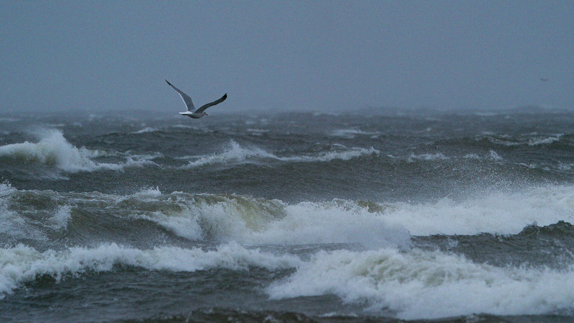 Штормовой ветер на побережье Рижского залива в Риге - Sputnik Латвия, 1920, 11.02.2022