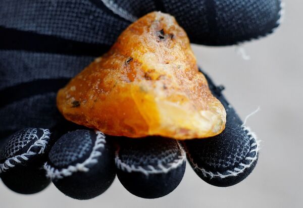 Необработанный кусок янтаря, найденный у берегов Балтийского моря в городе Пионерский Калининградской области 18 января 2022 года. - Sputnik Латвия
