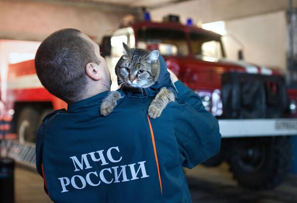 Divus gadus vecais kaķis Semjons dzīvo Tjumeņas apgabala ĀSM Galvenās pārvaldes 135. ugunsdzēsēju un glābēju vienībā - Sputnik Latvija