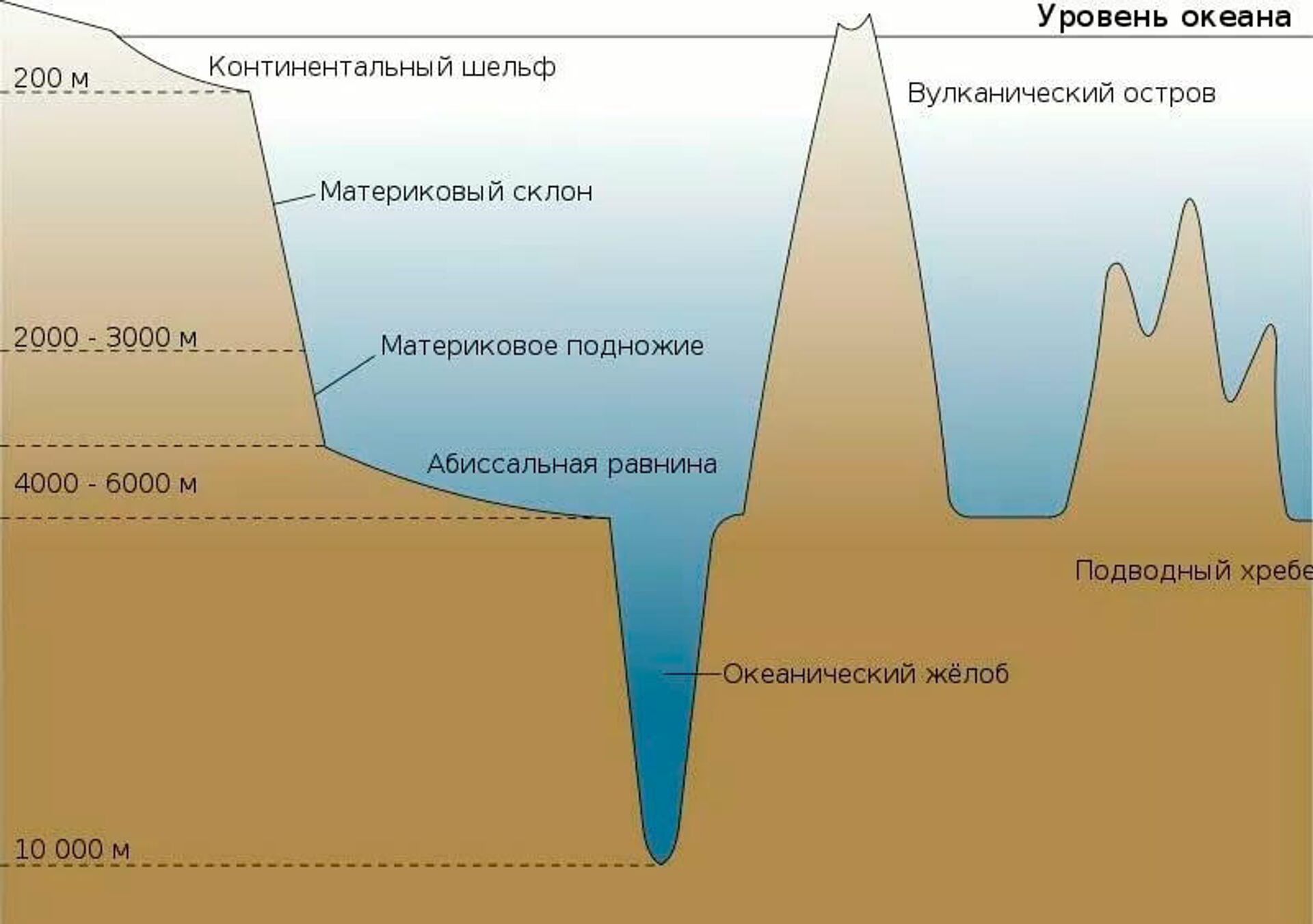 Строение морского дна и положение абиссальных равнин Строение морского дна и положение абиссальных равнин - Sputnik Latvija, 1920, 27.02.2022