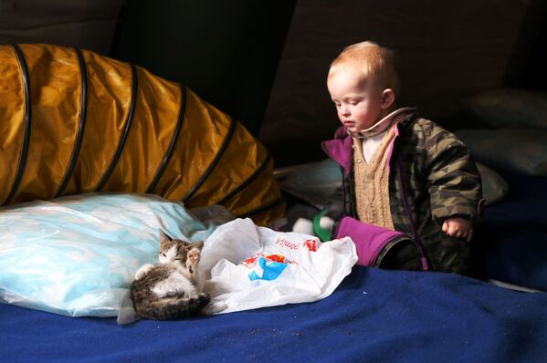 Ребенок беженцев из Мариуполя с кошкой в пункте оказания помощи. - Sputnik Латвия