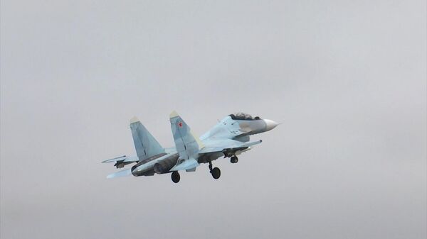 Боевые вылеты Су-30см и Су-35, уничтоживших украинский Бук - Sputnik Латвия