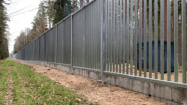Не забор, а железная стена: что строят поляки в Беловежской пуще - Sputnik Латвия