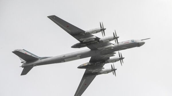 Стратегический бомбардировщик-ракетоносец Ту-95МС - Sputnik Латвия