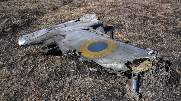 Обломок сбитого украинского штурмовика Су-25 - Sputnik Латвия