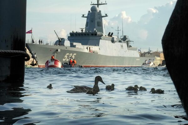 Утка с выводком на реке Неве возле военного корабля. - Sputnik Латвия