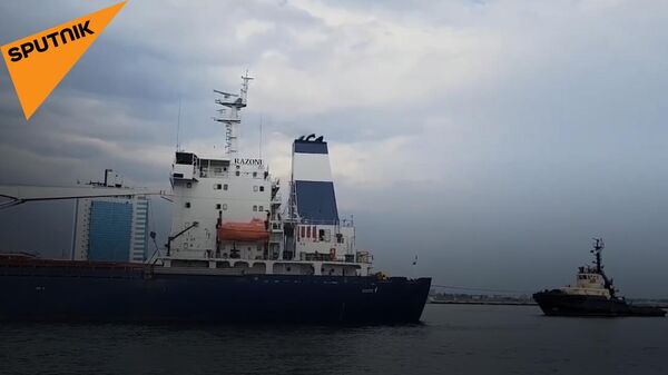 Первое судно с украинским зерном покинуло порт Одессы - Sputnik Латвия