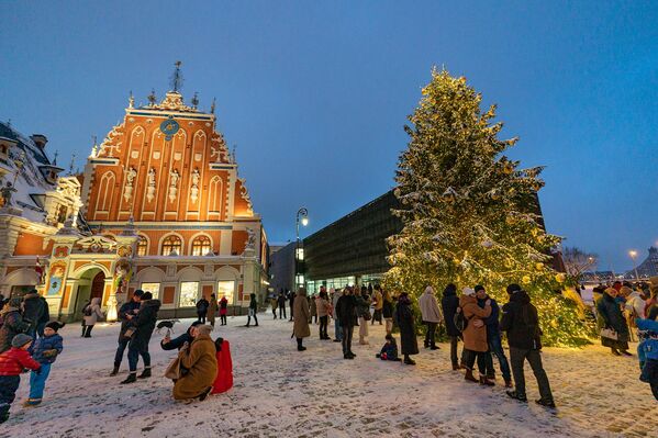 Главная рождественская  ель на Домской площади в Риге. - Sputnik Латвия