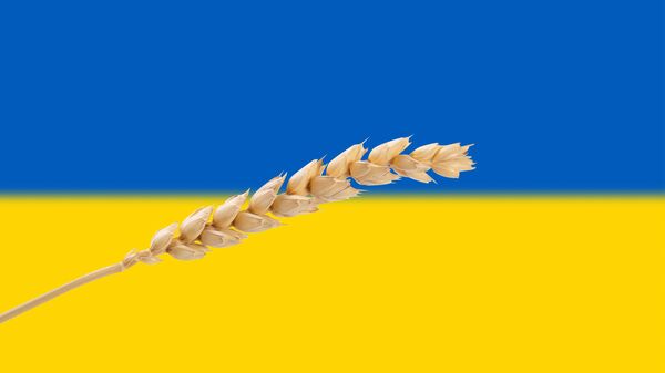 Колос пшеницы  - Sputnik Латвия
