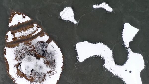Вид замерзшего озера в Ричмонд-парке на юго-западе Лондона, Великобритания - Sputnik Латвия