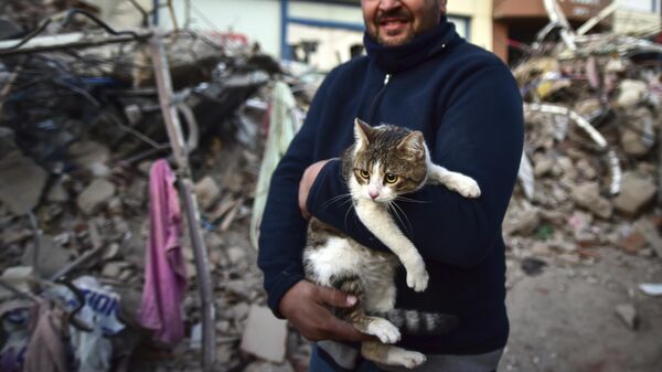 Мужчина держит на руках свою кошку, спасенную из рухнувшего здания, Турция - Sputnik Латвия