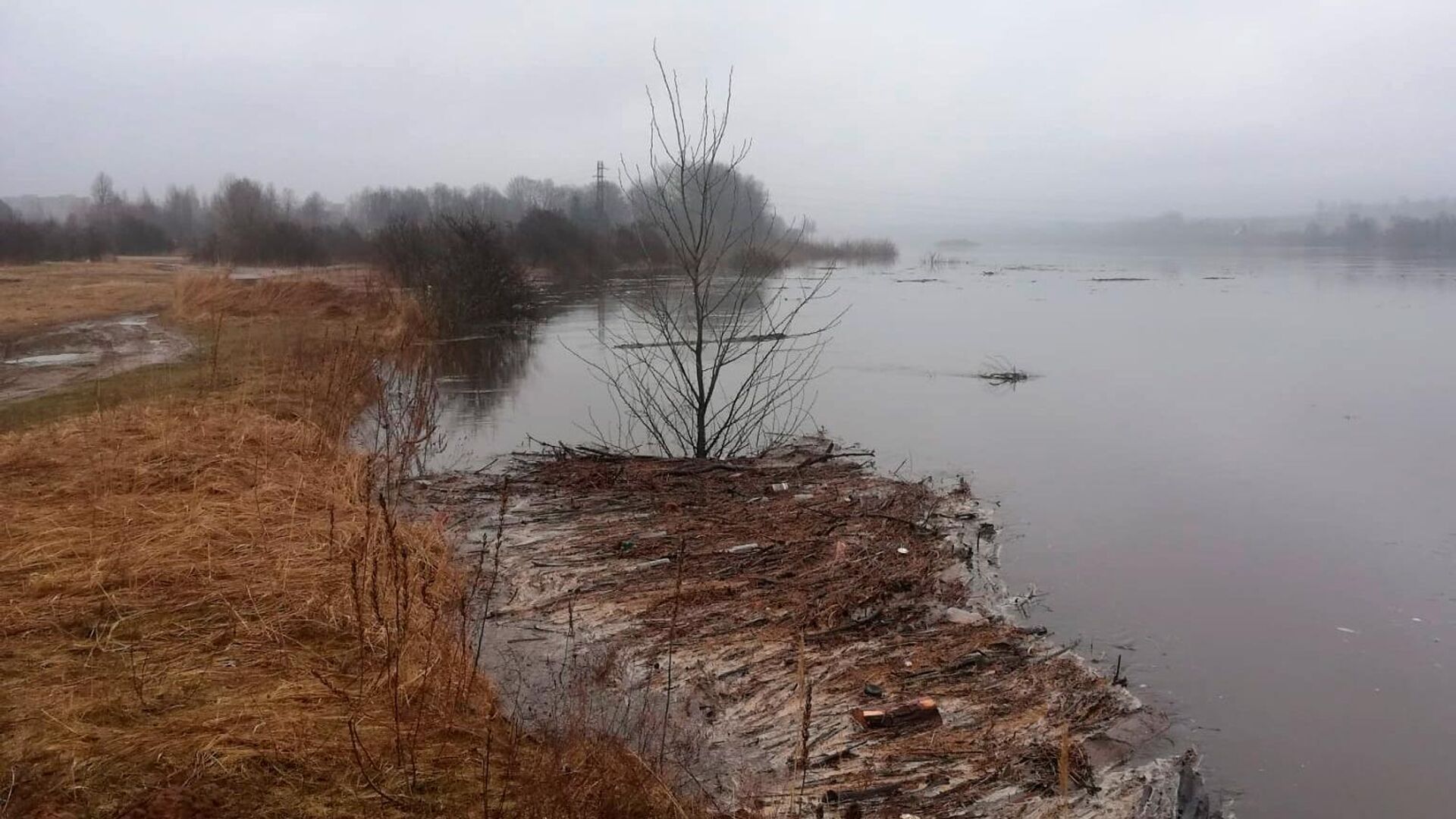 Уровень воды в Даугаве в районе Даугавпилса продолжает подниматься, 1 апреля 2023 года - Sputnik Латвия, 1920, 03.04.2023