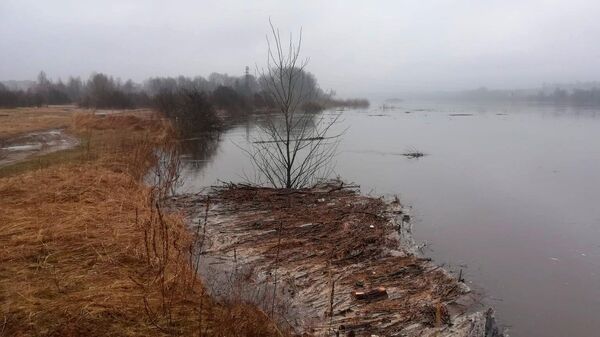 Уровень воды в Даугаве в районе Даугавпилса продолжает подниматься, 1 апреля 2023 года - Sputnik Латвия