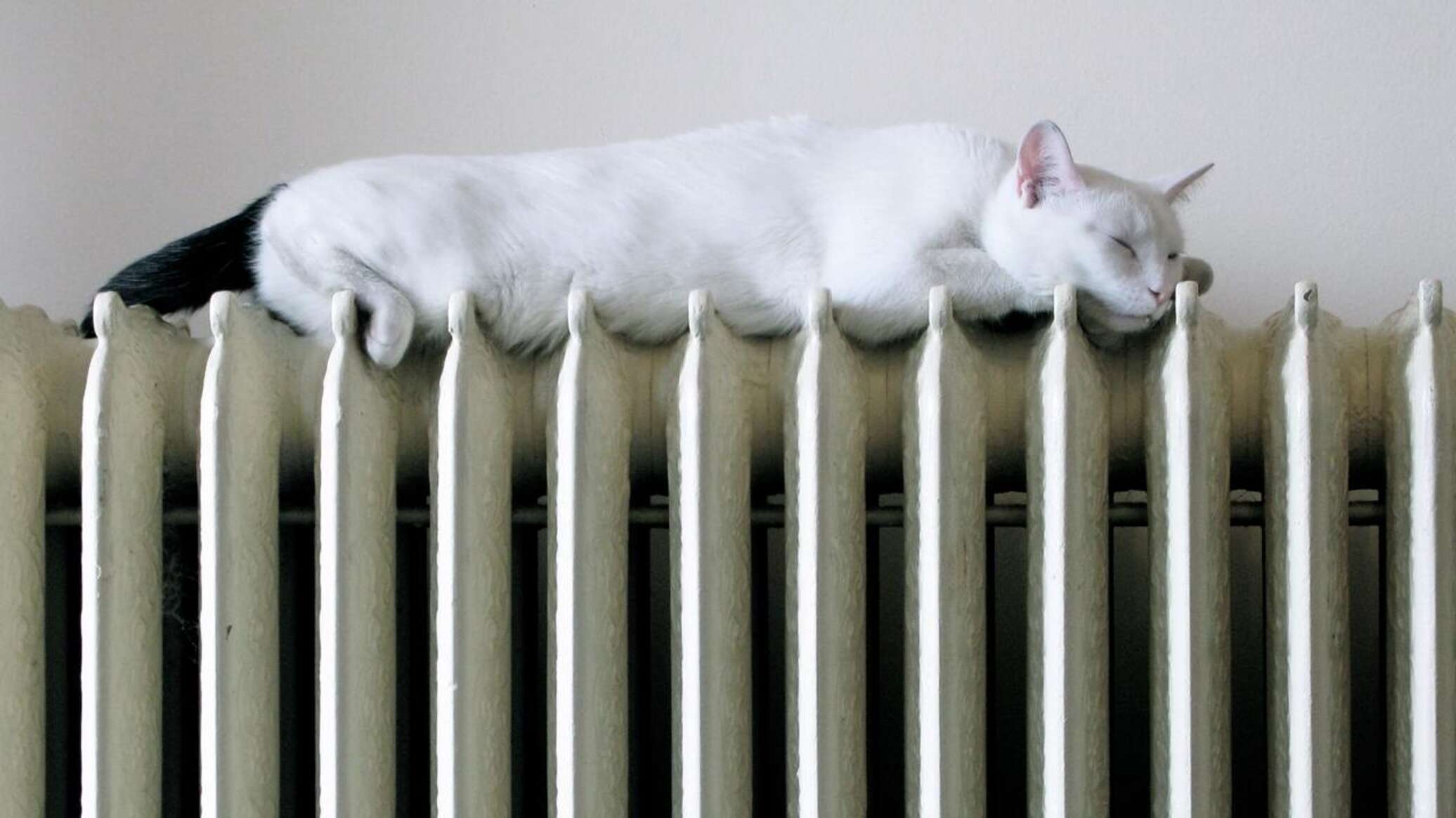 Тепловые радиаторы отопления