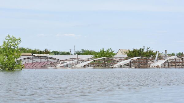 Садовые участки в населенном пункте Корсунка, затопленные в результате разрушения Каховской ГЭС - Sputnik Латвия