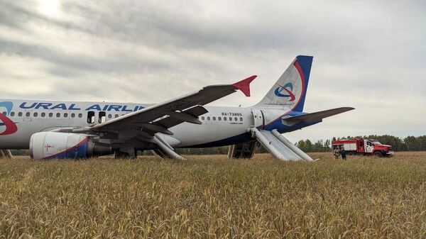 Пассажирский самолёт совершил вынужденную посадку в Новосибирской области  - Sputnik Латвия