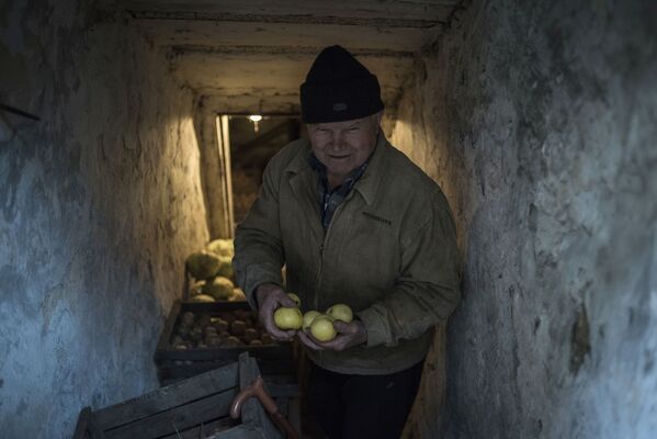 Мужчина с яблоками в подвале дома в поселке Зайцево Донецкой области - Sputnik Latvija
