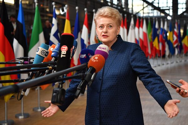 Президент Литвы Даля Грибаускайте отвечает на вопросы журналистов по ее прибытию на саммит Европейского совета в Брюсселе - Sputnik Латвия
