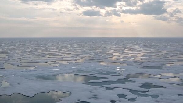 Льды Антарктиды стремительно тают - Sputnik Латвия