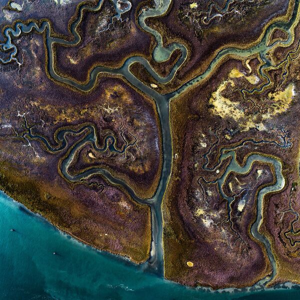 Красочные травы в одном из венецианских каналов на одном из островов Венеции, Италия - Sputnik Латвия