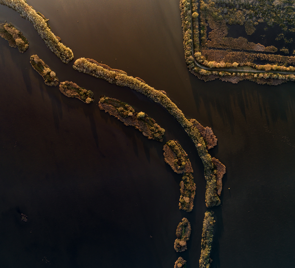 Извилистая река Зала, протекающая через болото Кис-Балатон около Залавара, озеро Балатон, Венгрия - Sputnik Латвия