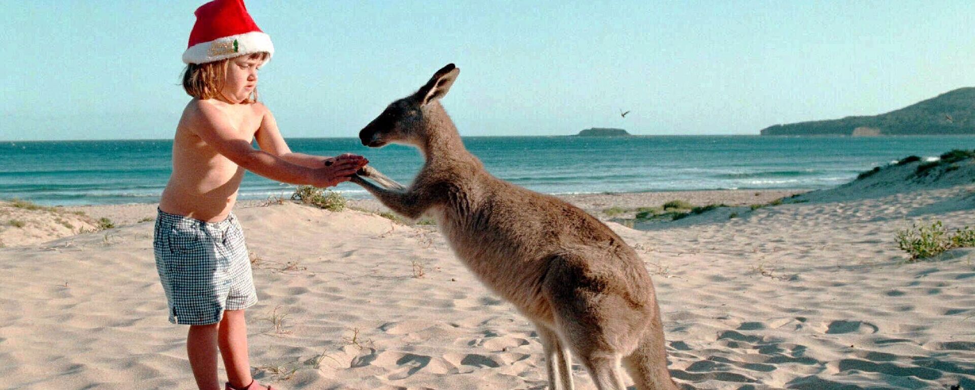 Девочка с кенгуру на пляже накануне Рождества в Австралии  - Sputnik Латвия, 1920, 03.12.2020