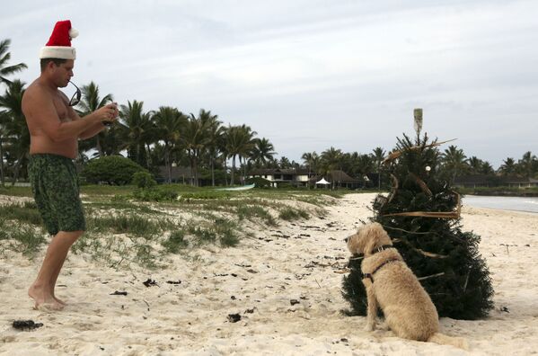 Мужчина фотографирует собаку у рождественской елки на Гавайях  - Sputnik Латвия