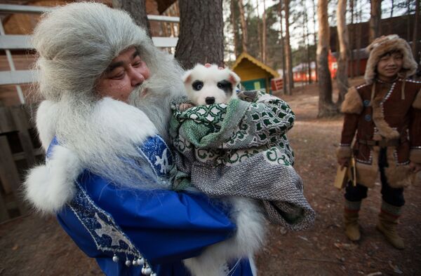 Ямал Ири из Салехарда несет щенка в подарок Деду Морозу во время празднования Дня рождения Деда Мороза в Великом Устюге - Sputnik Латвия