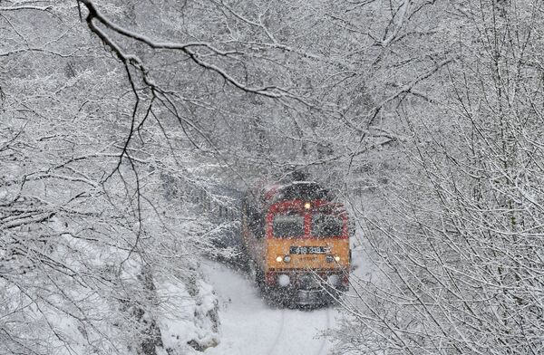 Пассажирский поезд на фоне зимнего пейзажа Венгрии   - Sputnik Латвия