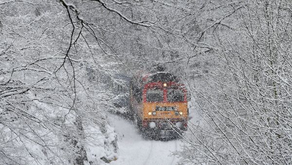 Пассажирский поезд на фоне зимнего пейзажа Венгрии   - Sputnik Latvija